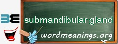 WordMeaning blackboard for submandibular gland